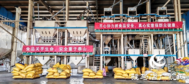 天中工匠||王合寶:將“小芝麻”做成大文章 讓平輿芝麻制品走向世界