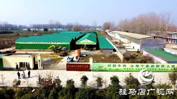 出彩新農人||80后“養牛大王”馬海瑞：希望每個家庭都吃上放心好牛肉