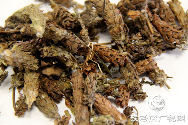 出彩新農人||李佳偉:夏枯草種好“致富良方”