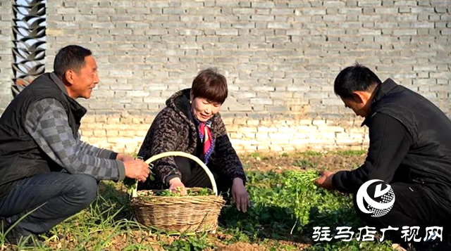 遂平縣和興鎮：凝聚鄉賢力量 培樹文明鄉風