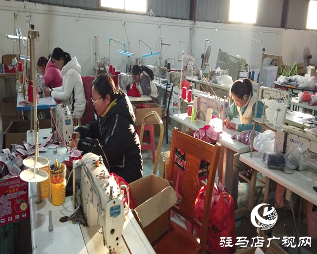 新蔡縣：錨定“五星”支部創建 跑出鄉村振興“加速度”