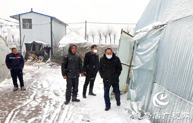 遂平縣積極應對雨雪天氣 加強農業技術推廣服務