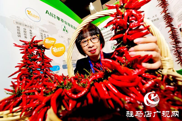 履職故事||人大代表李敏:勇當鄉村振興的“排頭兵”