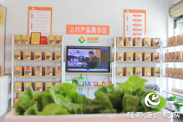 履職故事||人大代表李敏:勇當鄉村振興的“排頭兵”