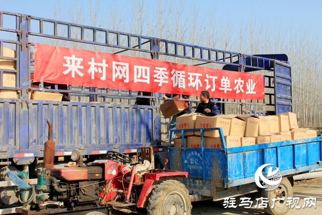 履職故事||人大代表李敏:勇當鄉村振興的“排頭兵”