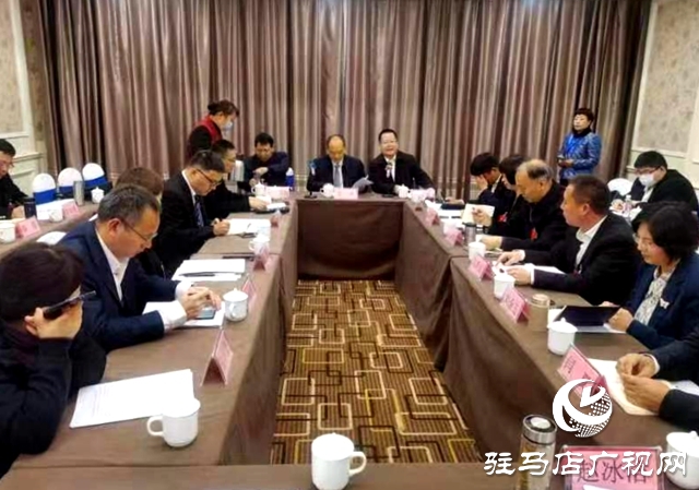 市政協委員分組討論市政協常委會工作報告和關于提案工作情況的報告