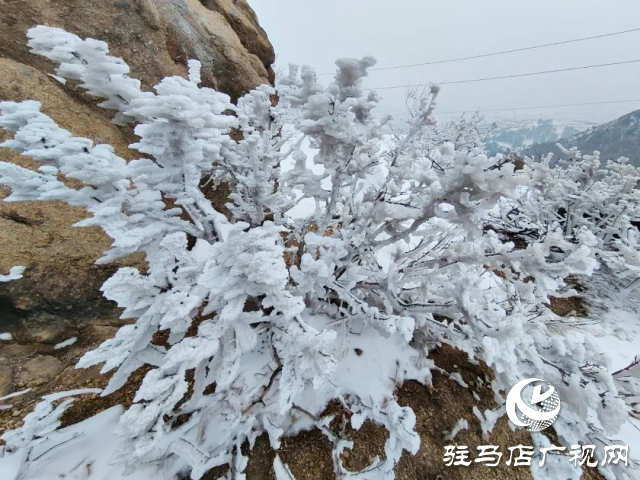 美呆了！羅漢山開啟雪凇、霧凇雙景齊現(xiàn)模式