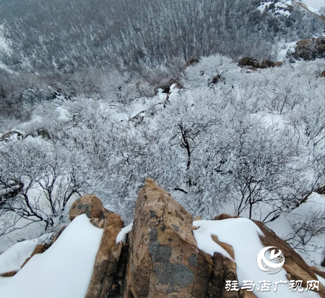 美呆了！羅漢山開啟雪凇、霧凇雙景齊現(xiàn)模式