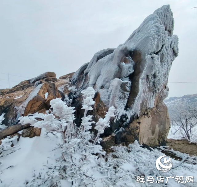 美呆了！羅漢山開啟雪凇、霧凇雙景齊現(xiàn)模式