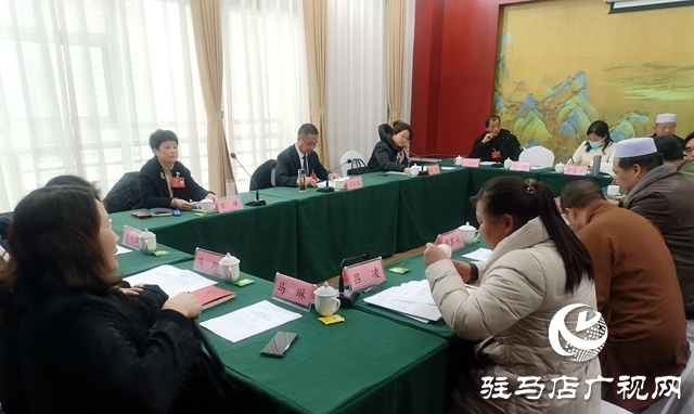 駐馬店市政協五屆二次會議召開第四次委員組會議分組討論審議法檢兩院工作報告等文件