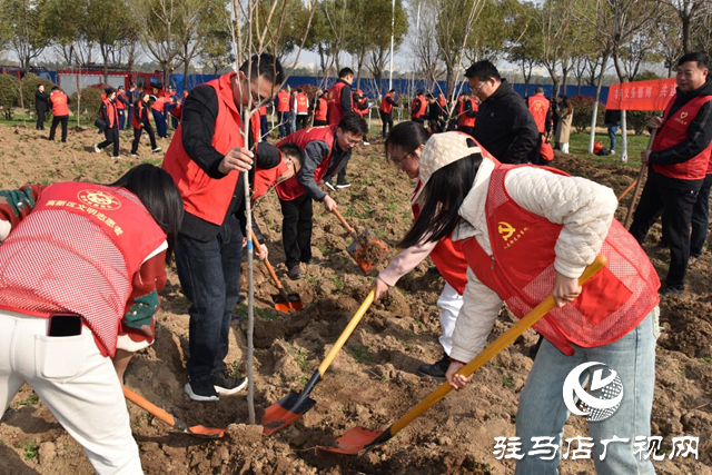 駐馬店高新區投資公司開展植樹造林志愿服務活動