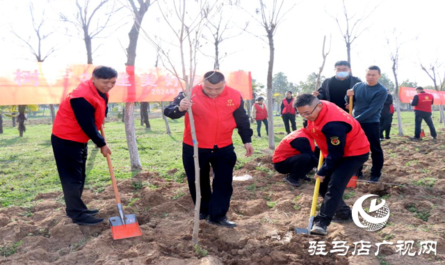駐馬店高新區城管局開展義務植樹活動