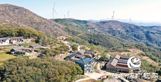 王清華:致富道路上的“領頭雁”