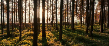 微視頻|讓大地山川綠起來