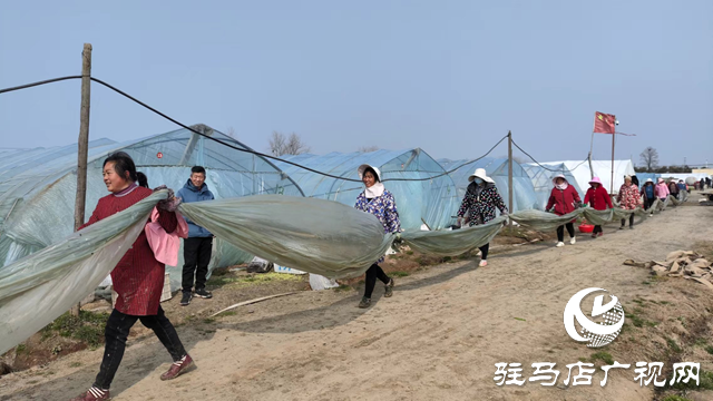 正陽縣：推進“五星”支部創建 跑出鄉村振興“加速度”