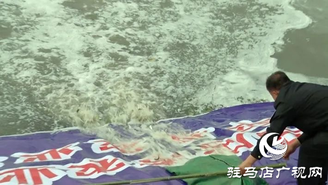 駐馬店市漁業增殖放流活動在遂平縣汝河城區段舉行