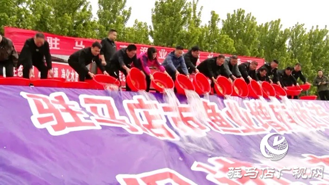 駐馬店市漁業增殖放流活動在遂平縣汝河城區段舉行