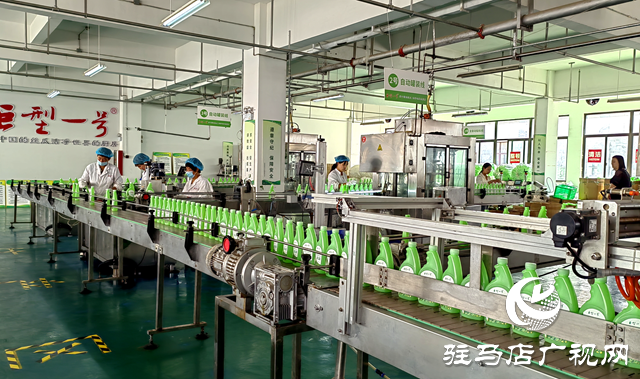 上蔡縣晨鐘農業發展有限公司：開足馬力趕訂單 全力以赴穩生產