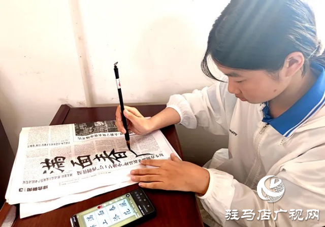 遂平縣玉山鎮吳寨村：書香潤鄉村 文化促振興