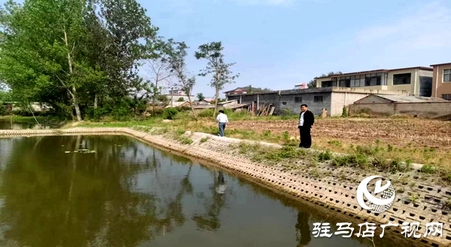 駐馬店市生態環境局遂平分局開展農村黑臭水體現場后督查工作