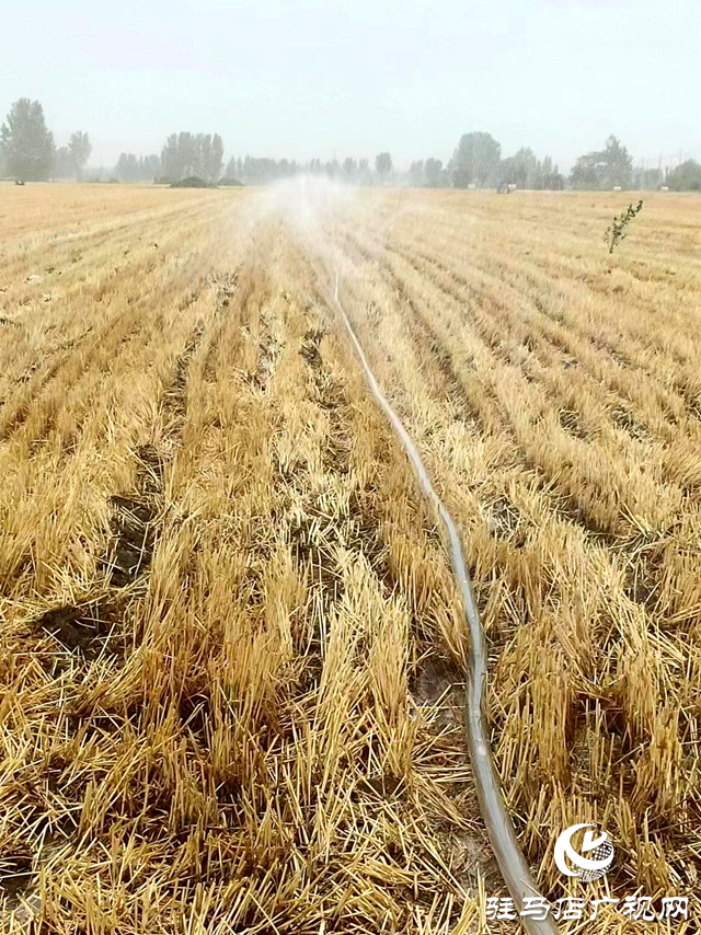 遂平縣車站街道全力以赴做好抗旱保收工作