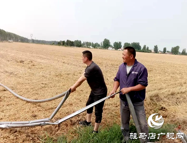 遂平縣：奮戰“三夏”搶收忙駐村第一書記顯擔當