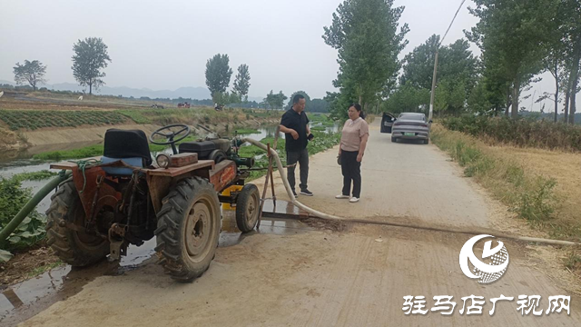 驛城區老河鄉開啟“三夏”抗旱搶種模式