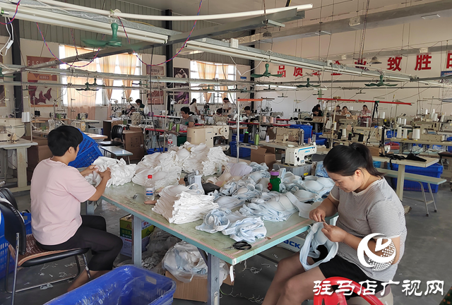 汝南縣張樓鎮：打造“產業興旺星” 助力鄉村振興