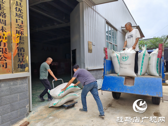 平輿縣十字路鄉十字路村：黨建聯動“雙提升” 強村富民促振興