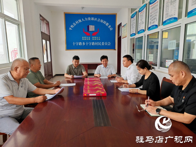 平輿縣十字路鄉十字路村：黨建聯動“雙提升” 強村富民促振興