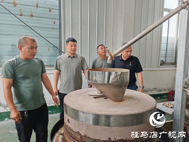 平輿縣十字路鄉十字路村：黨建聯動“雙提升” 強村富民促振興