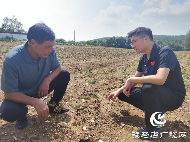 創業路上藥材香——99年“兵哥”劉文超的創業之路