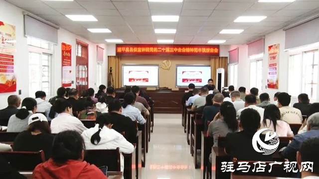 遂平縣委學習貫徹黨的二十屆三中全會精神宣講團專題報告會走進陽豐鎮