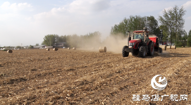 遂平縣:秸稈化身“金卷卷”助力“三秋”生產(chǎn)