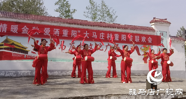 新蔡縣孫召鎮大馬莊村舉行重陽節聯歡活動