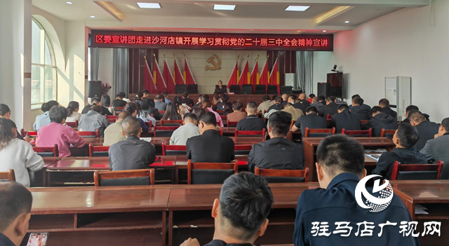 學習貫徹黨的二十屆三中全會精神驛城區委宣講團到沙河店鎮開展宣講