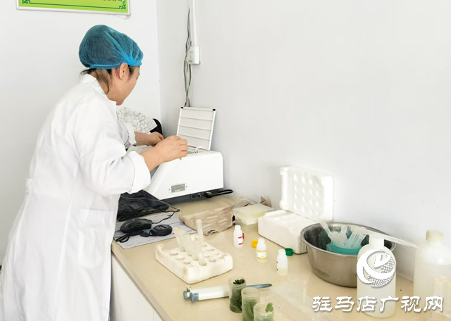 駐馬店經濟開發區:“你點我檢”亮點紛呈 守護群眾“舌尖”安全