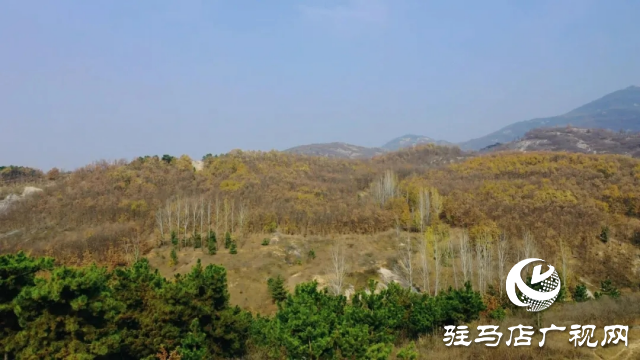 泌陽縣王店鎮奇石嶺：自然奇景中的寶藏之地