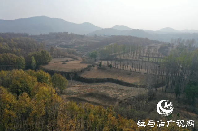 泌陽縣王店鎮奇石嶺：自然奇景中的寶藏之地