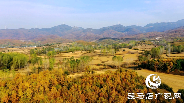 泌陽縣曾溝：鄉野的絢麗畫卷