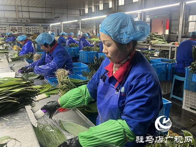 遂平縣領鑫農業：沖刺四季度 確保全年目標實現