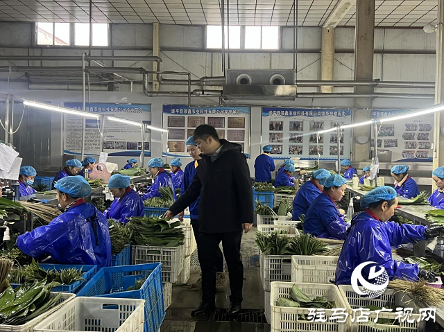 遂平縣領鑫農業：沖刺四季度 確保全年目標實現