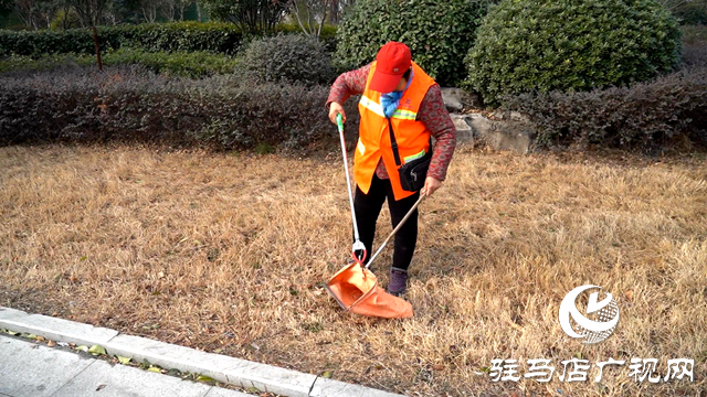 遂平縣:用堅(jiān)守詮釋責(zé)任 用奉獻(xiàn)書寫擔(dān)當(dāng)