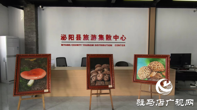 公交直達(dá)!泌陽縣花菇博物館開啟奇妙之旅