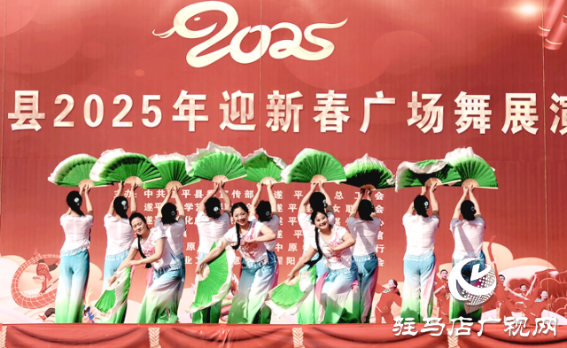 遂平:多彩非遺鬧元宵 主客共享文化宴