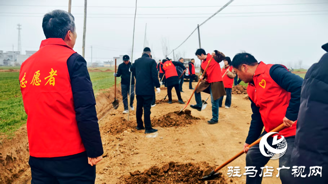 新蔡縣頓崗鄉(xiāng)開展春季植樹活動(dòng)