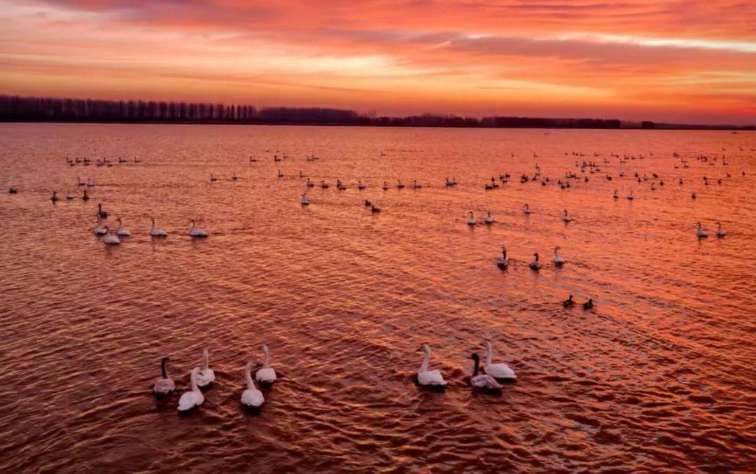 全國人大代表、駐馬店市市長李躍勇：打好“組合拳” 在推動高質量發展上奮勇爭先