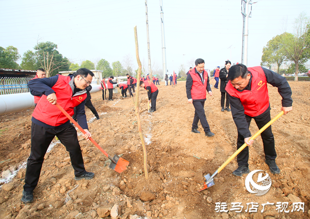 駐馬店高新區開展義務植樹活動
