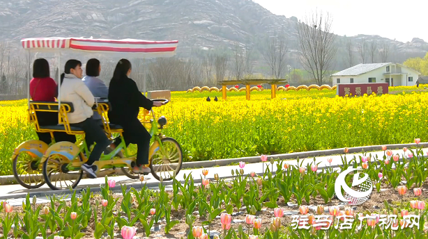 【邀您打卡】3月22日，嵖岈山郁金香園盛大啟幕