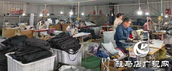 遂平縣沈寨鎮(zhèn)沈莊村:黨建引領(lǐng)繪就鄉(xiāng)村振興新圖景